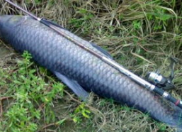 青鱼视频国产在线,国产在线影视盛宴，尽享视听盛宴